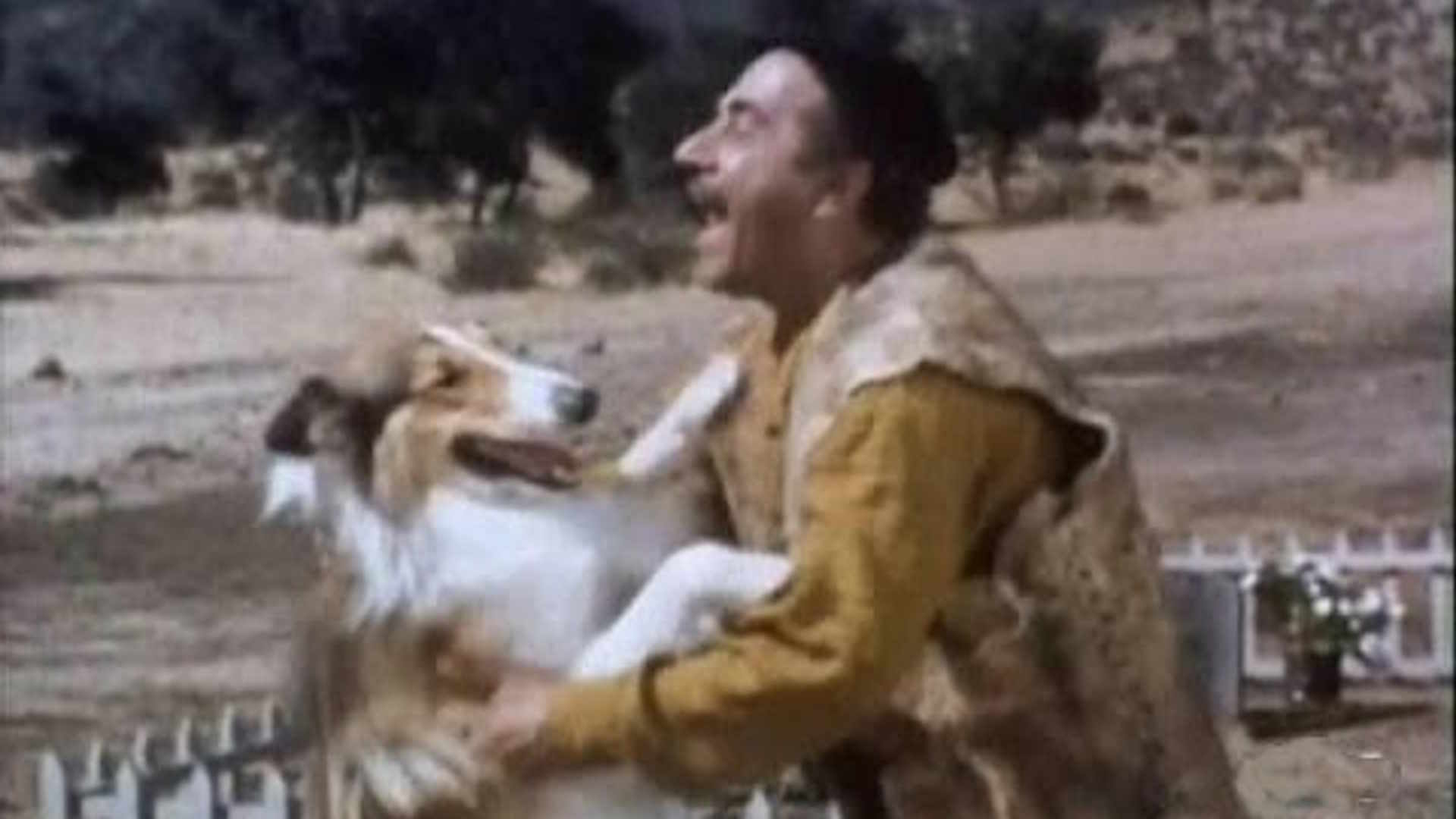 Season 12