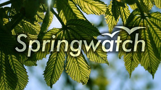 Springwatch - Season 2026