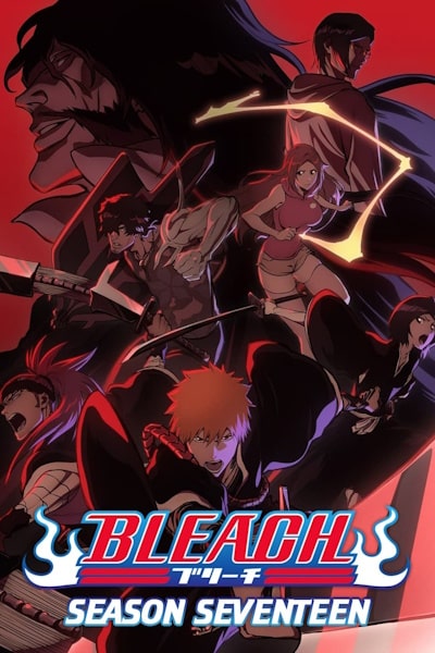 Bleach - Season 17 [Aud: Eng]