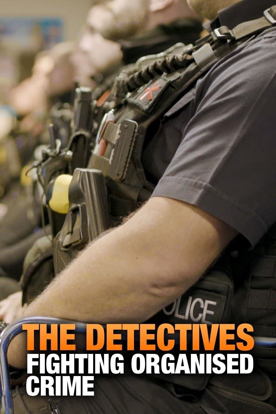 The Detectives: Fighting Organised Crime - Season 1