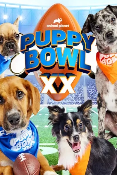 Puppy Bowl - Season 20