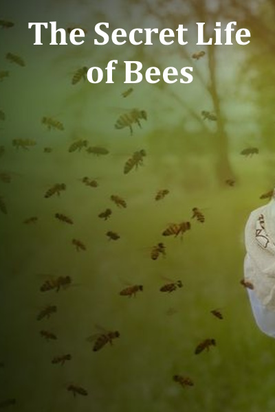 The Secret Life of Bees - Season 1