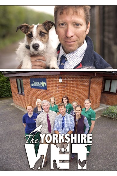 The Yorkshire Vet - Season 13