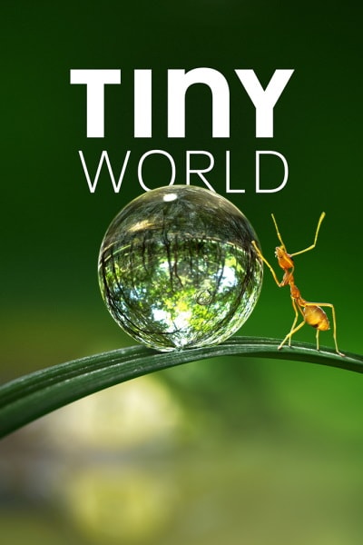 Tiny World - Season 1