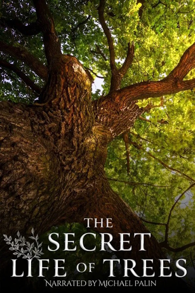 The Secret Life of Trees - Season 1
