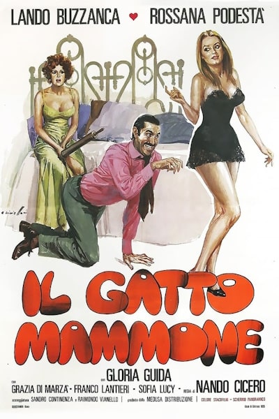 Il gatto mammone
